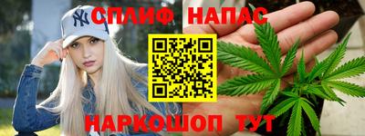 ECSTASY Новодвинск
