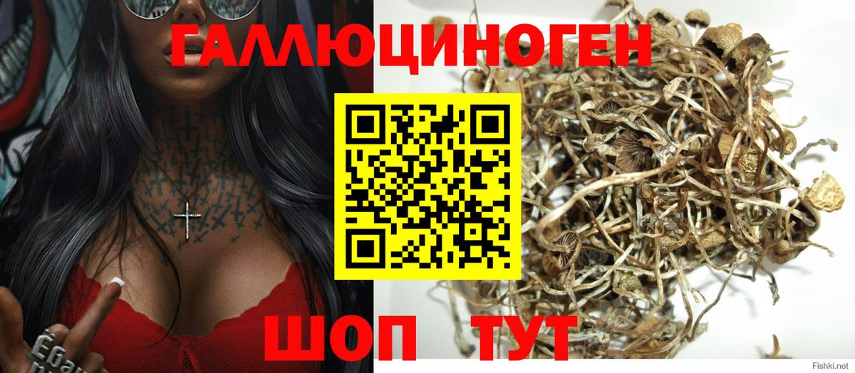 Псилоцибиновые грибы мицелий Топки