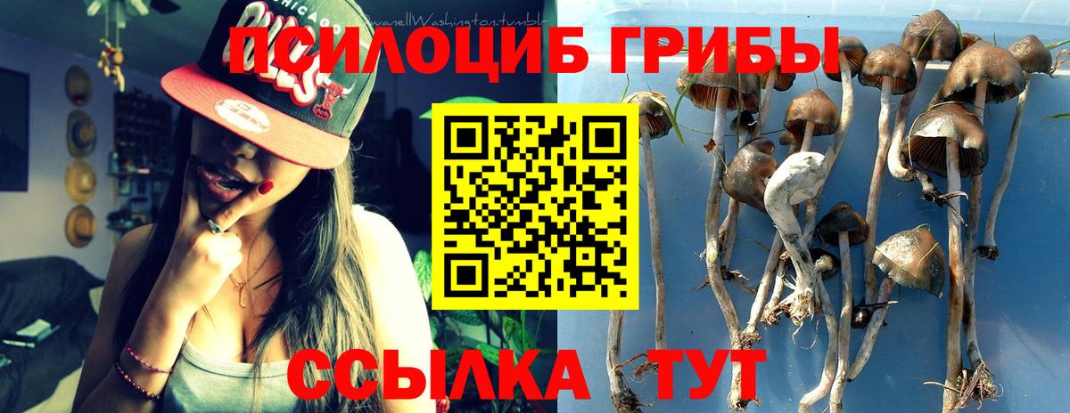 Топки  Галлюциногенные грибы мицелий  Вход с VPN 